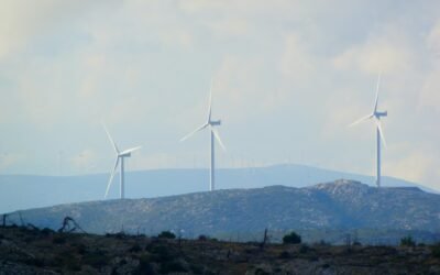 Sostenibilidad en el arte de la cerámica: consejos para alfareros comprometidos con la economía circular