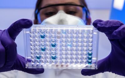 ISO 9001: el estándar de calidad que transformará tu empresa textil