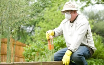 Todo lo que necesitas saber sobre la certificación ISO 22000 en la producción agrícola