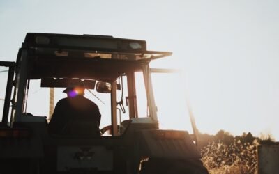ISO 14001: el aliado de las prácticas agrícolas sostenibles