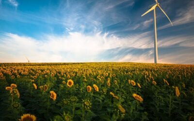 Los beneficios clave de la norma ISO 14001 para empresas de energías renovables