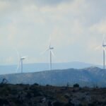El impacto positivo de la economía circular en la industria de la cestería