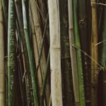 El camino hacia la sostenibilidad: 5 estrategias clave para fabricantes de productos de bambú reciclado