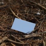 Innovación en el mundo del papel maché: cómo aplicar la economía circular en tu proceso de fabricación