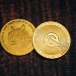 Breaking Down Barriers: How to Successfully Apply for Your First Circular Economy Seal