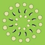 Profitable and Sustainable: Exploring 10 Successful Circular Business Models