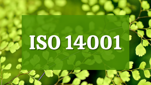 ISO 14001 – Environmental Management System Certification