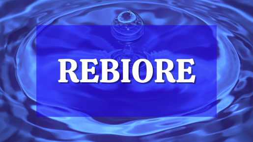 REBIORE Eco Luxury Brand Seal
