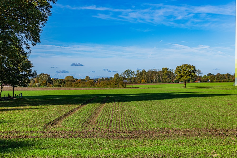 Construye tu empresa: cómo ser rentable y sostenible a la vez