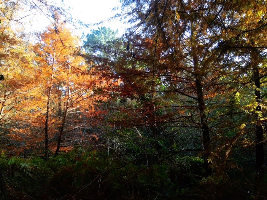 Consejos para diseñar experiencias turísticas rentables y respetuosas con el medio ambiente