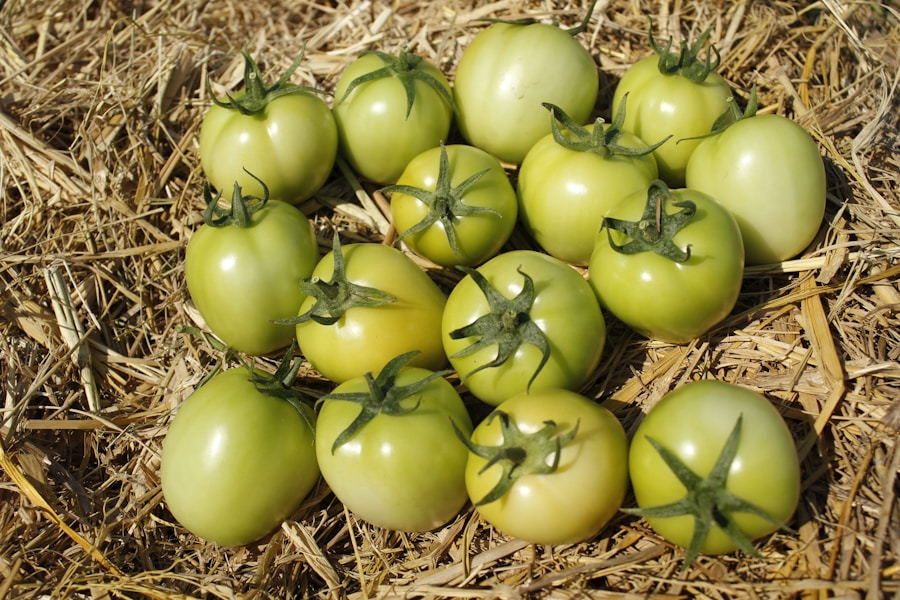 5 estrategias efectivas para aumentar la rentabilidad de tu empresa eco