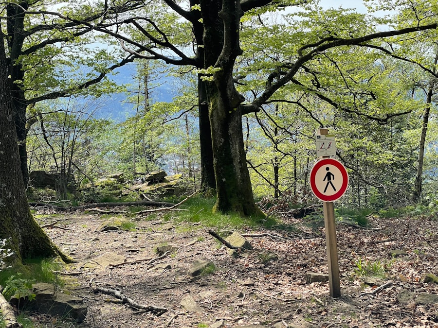 5 ideas innovadoras para proyectos eco en tu ayuntamiento