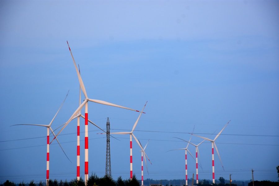 Estrategias creativas para hacer crecer tus iniciativas ecológicas