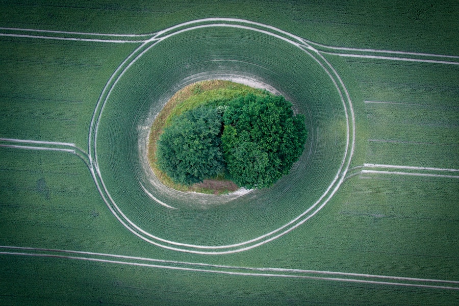 Economía circular: el camino hacia ingresos sostenibles y rentables