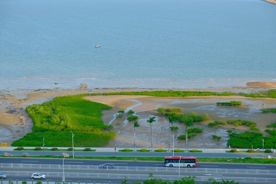 5 estrategias efectivas para crear proyectos sostenibles en ciudades turísticas