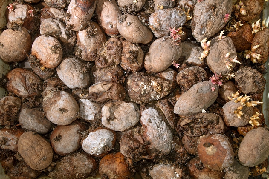 Del plato a la compostera: estrategias efectivas para manejar los residuos alimentarios en hoteles y resorts en Málaga