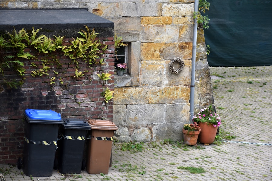 ¡Dile adiós al desperdicio! Estrategias sostenibles para gestionar residuos en tu bar o cafetería en Málaga