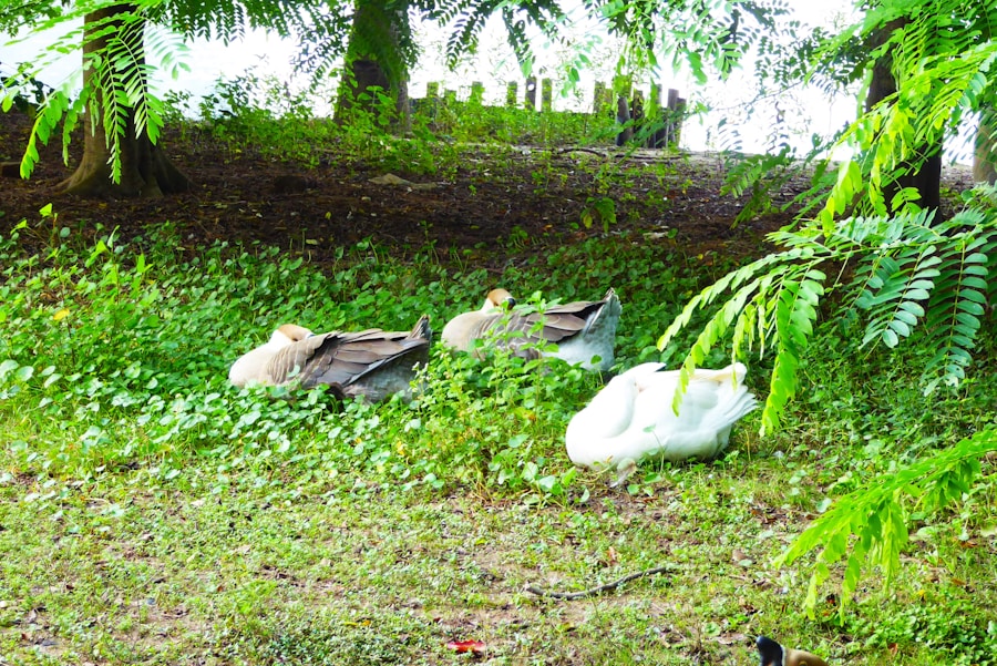 Sostenibilidad y rentabilidad: el potencial de los residuos agrícolas como fuente de ingresos en Andalucía