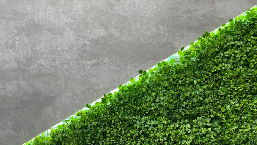 ¿Cuál es la mejor solución tecnológica verde para tu empresa? Descúbrelo en este ranking