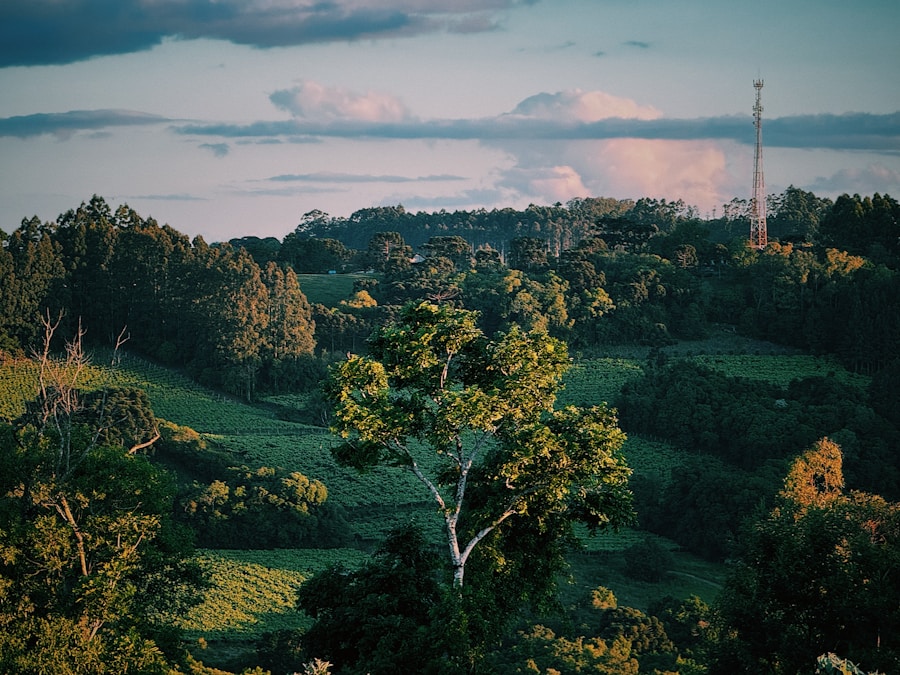 De startup a líder del mercado: Cómo escalar tu empresa digitalmente