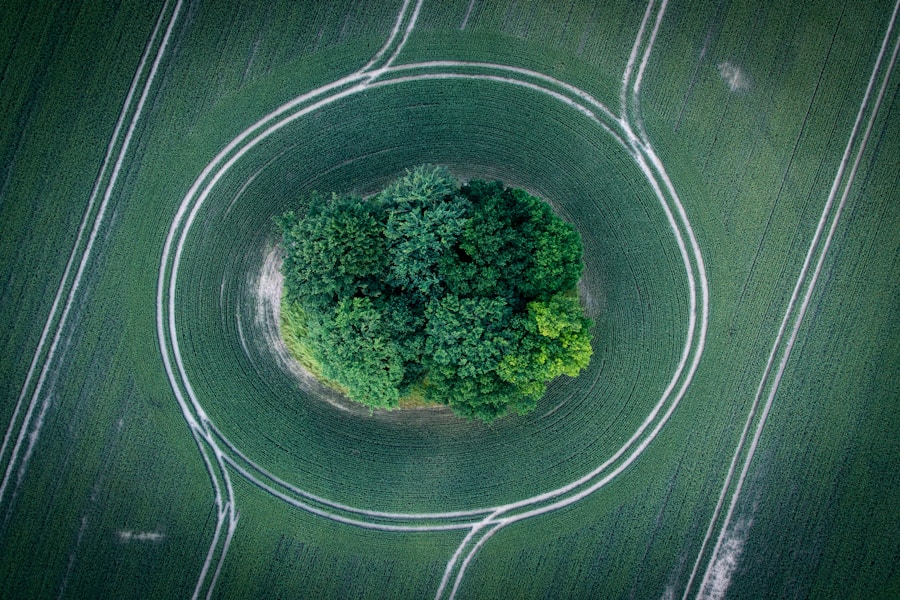 Cómo aplicar la economía circular en Rincón de la Victoria: 5 propuestas creativas