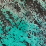El poder de la pátina: la evolución sofisticada de las piezas de latón y cobre en su entorno