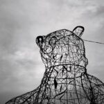 El valor del coleccionismo de formas alámbricas de metal como testimonio del arte y la habilidad del artista