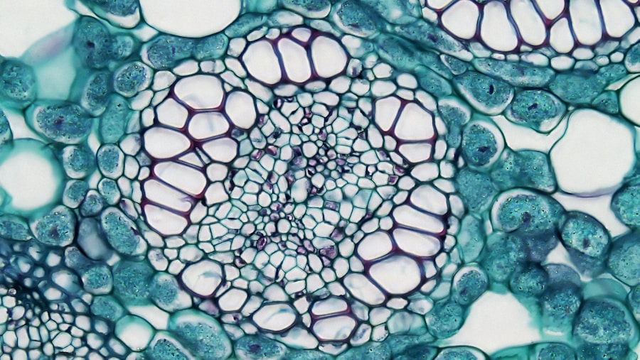El arte de fijar joyas bajo el microscopio: todo sobre la bola de engastador y termoplásticos
